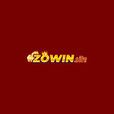 zowin-site's avatar