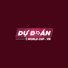 dudoanworldcup's avatar