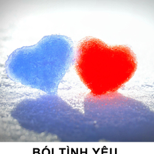 ptsboitinhyeu