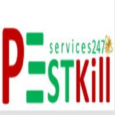 pestkill247com's avatar