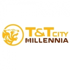ttcitymillennia's avatar