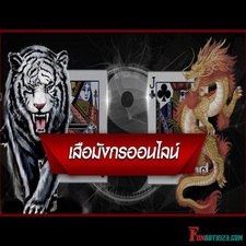 classicdragontigerfun88