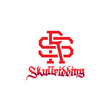 skullridding's avatar