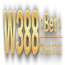 W388 Blog