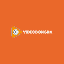 videobongda.info's avatar