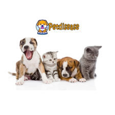 petdisease's avatar