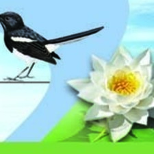 muhammadsm's avatar