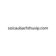 soicaubachthuvip's avatar
