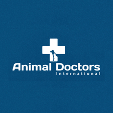 animaldoctorsinternational's avatar