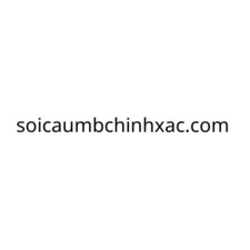 soicaumbchinhxac's avatar