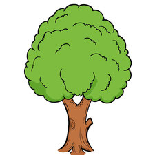hasibcomputer's avatar