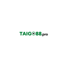 taigo88pro