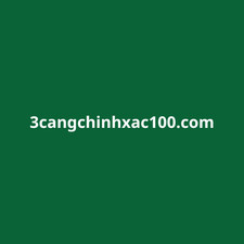 3cangchinhxac100's avatar