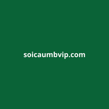 soicaumbvip's avatar