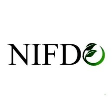nifdocream44's avatar
