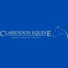 clarendonequineuk's avatar