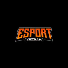 esportsvietnam.net's avatar