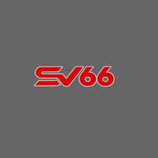 Sv666 Org's avatar