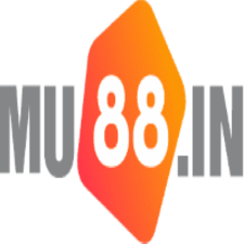 Mu88in's avatar