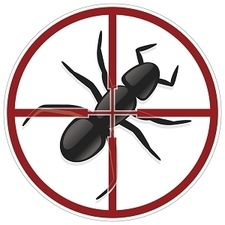 pestcontrolinva's avatar