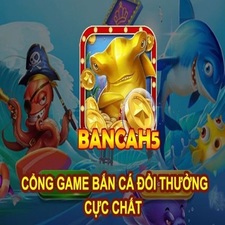bancah5live's avatar