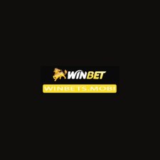 winbetuytin