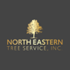 northeasterntree's avatar