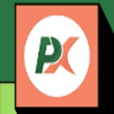 pesaxsite's avatar
