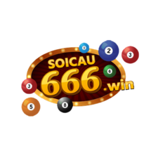 soicau666win's avatar