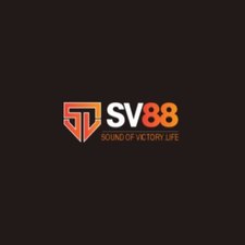sv88ltd's avatar