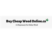 buycheapweedonlineca's avatar