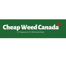 onlinedispensarycanadacc's avatar