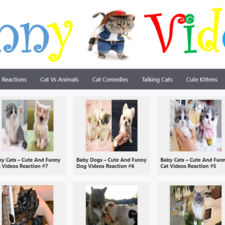 funnycatvideos.fun's avatar