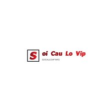 soicaulovipinfo