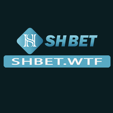 shbetwtf's avatar