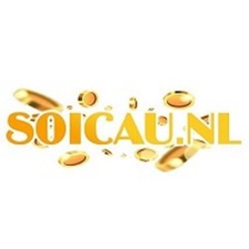 soicaunl's avatar