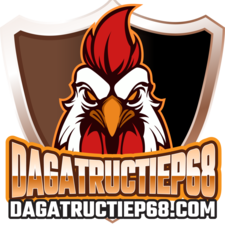 dagatructiep68