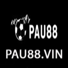 pau88vin's avatar