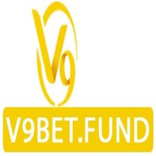 v9betfund's avatar