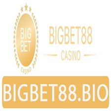 Bigbet88 Bio's avatar