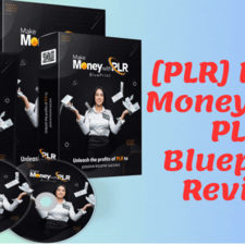PLR Blueprint review's avatar