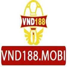 vnd188mobi's avatar