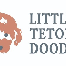 littletetondoodles's avatar