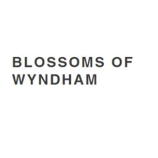 blossomyndham