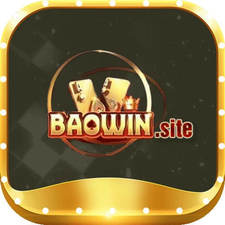 baowinsite's avatar