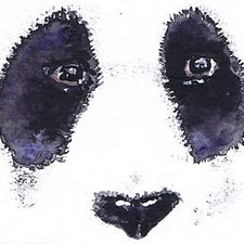 pandasa's avatar