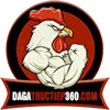 dagatructiep360com's avatar