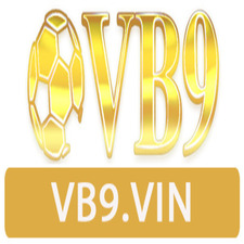 vb9vin's avatar