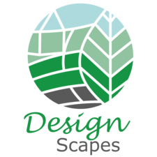 designscapes's avatar
