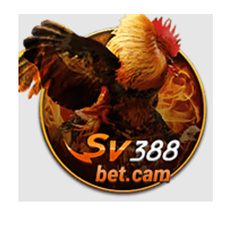 sv388betcam1's avatar